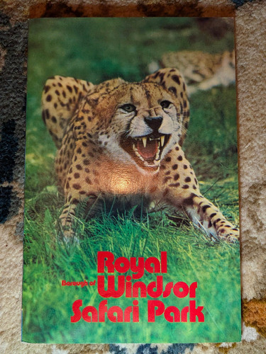 Windsor safari park brochure - windsor,