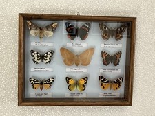 Beautiful collection of