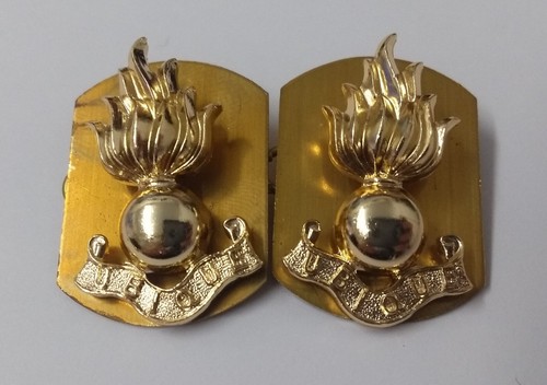 Royal engineers collar dogs - engineers, re