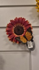 Hanging Red African Daisy With