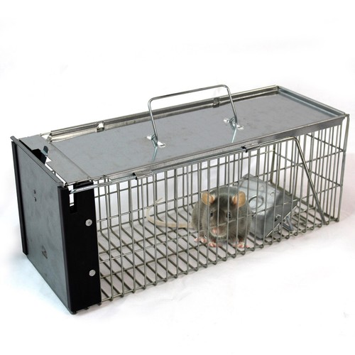 Rat trap squirrel heavy duty - squirrel,
