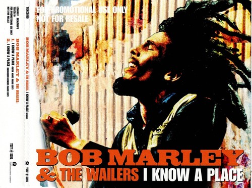 Bob marley the wailers - marley,
