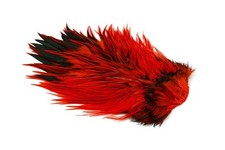 Whiting Brahma Rooster Saddle