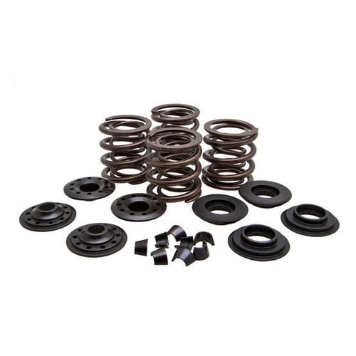 Kpmi valve spring - kpmi, kit