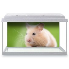 Fish tank background 90x45cm - fish,