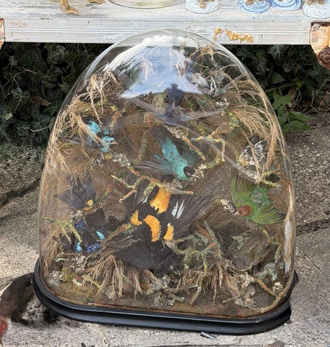 Antique victorian birds - antique,