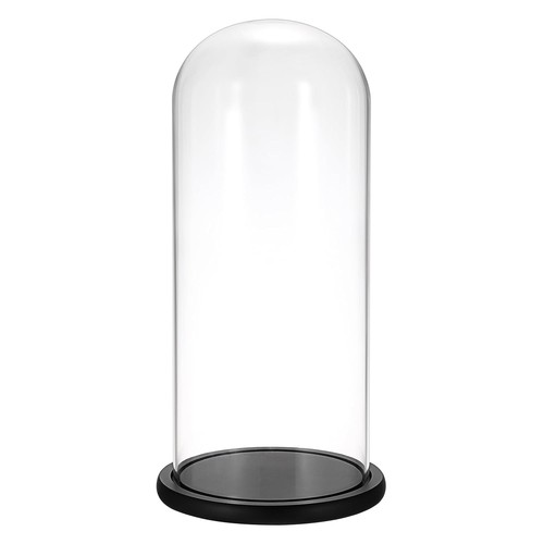Glass tall cloche dome - glass,