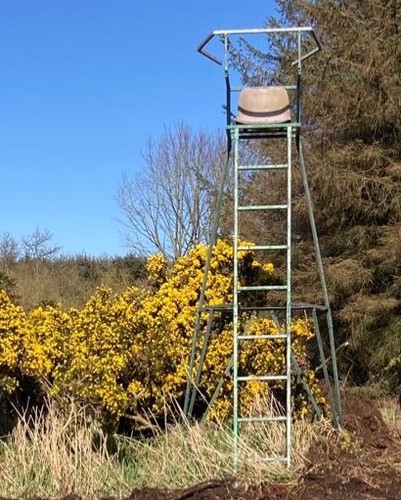 High seat for deer - , stalking