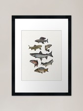 Salmon Power Motion Framed Art