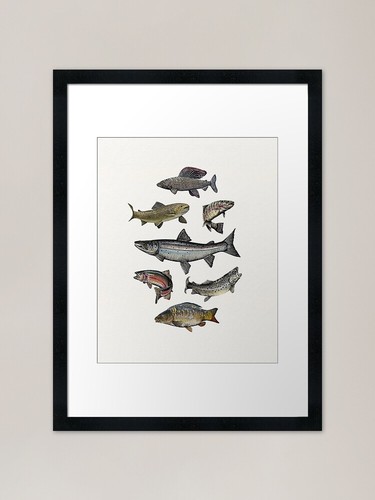Salmon power motion framed - framed, art