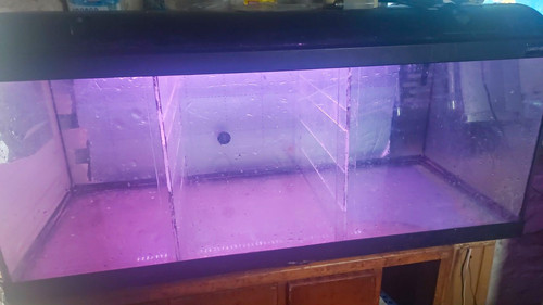 Fish tank with lid and - lid,