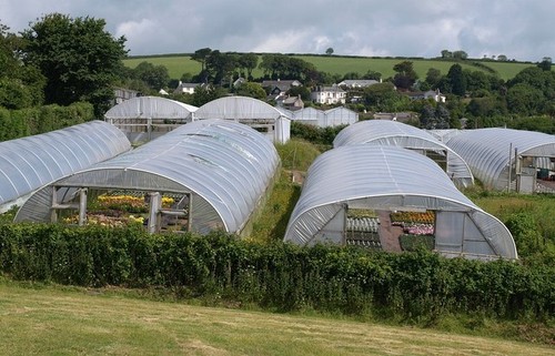 Photo 6x4 plastic - 6x4, greenhouses