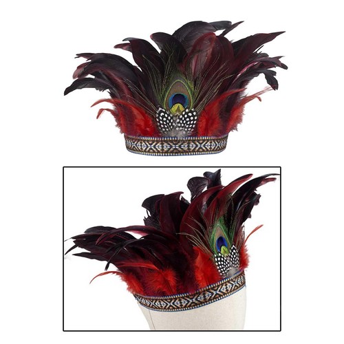 Feather national crown - feather,