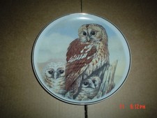 NBJ China Staffordshire