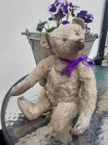 Antique steiff german 1900s - antique,