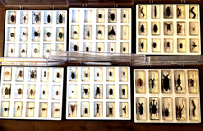 National Geographic 87 Real Bugs In Resin & Cases mostly good condition