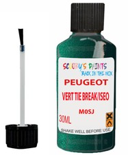 Paint For Peugeot 206Cc Chip