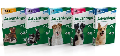 Spot flea treatment - treatment, s