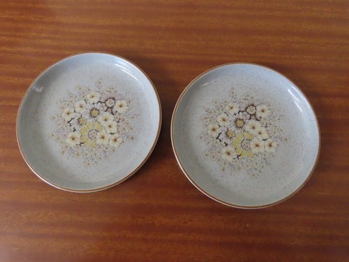 Vintage denby reflections - 2,