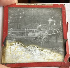 ANTIQUE c1900 GLASS LANTERN SLIDE MAN IN PONY & TRAP YETTINGTON SOUTH DEVON