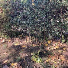 5 X Coconut Shy Stands Steel Hand Blacksmith Made Lawn Party Festival Fete Game