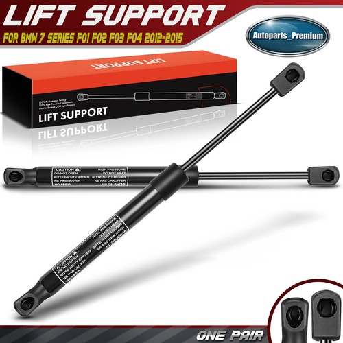 Front hood lift supports - front,