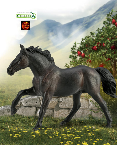 Nonius stallion hungarian - nonius,