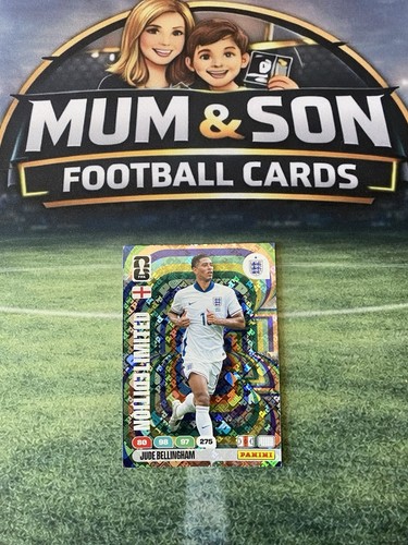 Panini adrenalyn world cup - panini,