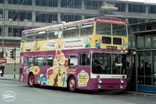 Bus Photo - SELNEC 2274