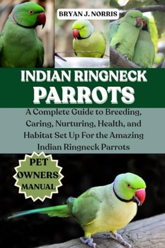 Indian ringneck parrot a - parrot,