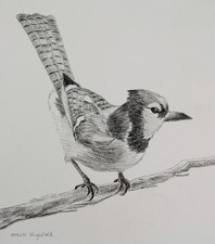 Original pencil drawing - pencil,