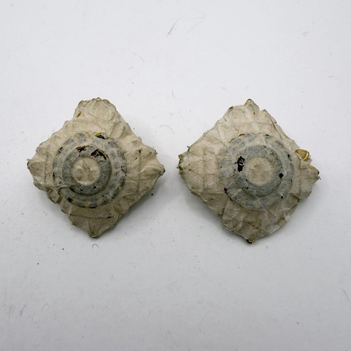 Genuine officers gilt - genuine, rank