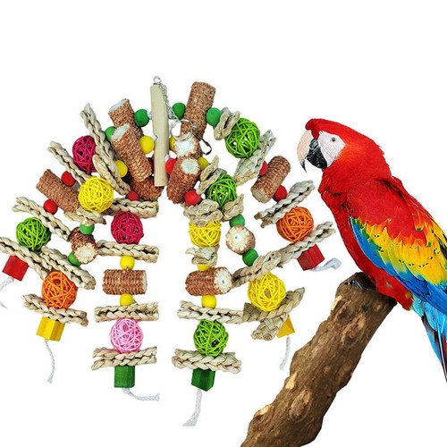 Bird chewing toy parrot - chewing,