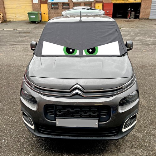 Citroen berlingo 2018 - 2018, window