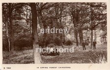 Chingford In Epping Forest