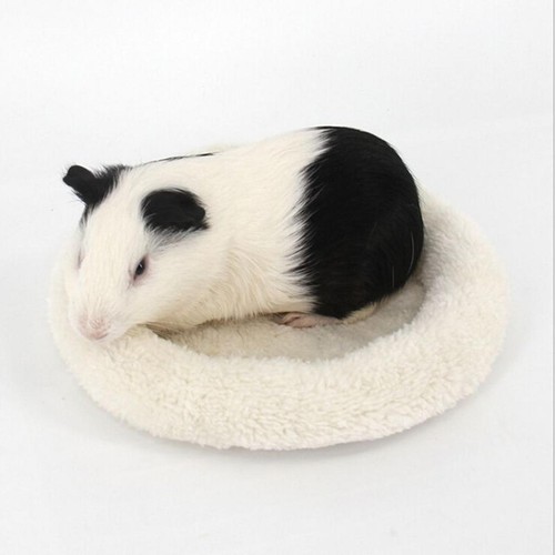 Rat hamster house bed pad - rat,
