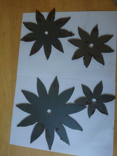 Blacksmith chrysanthemum