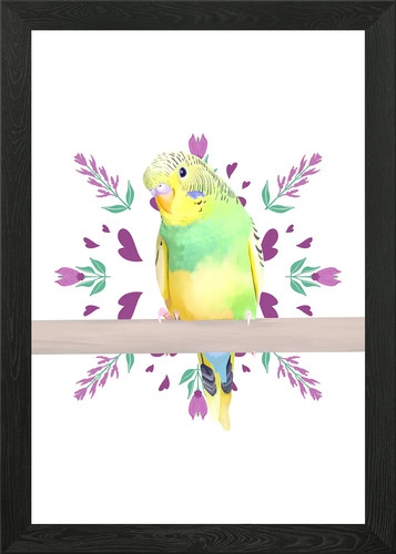 Cute green budgie framed - cute, wall