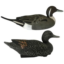 Duck Decoys Pintail Realistic