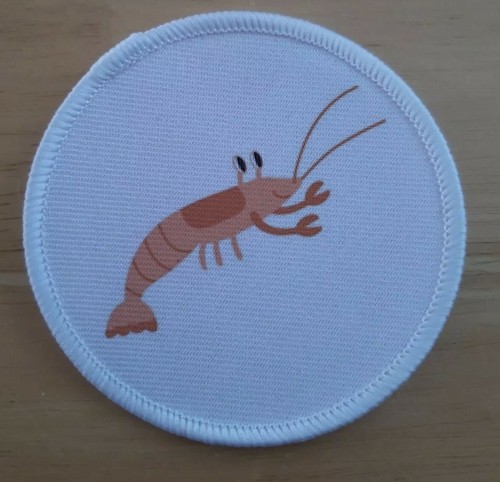 Prawn shrimp sea creature - shrimp,
