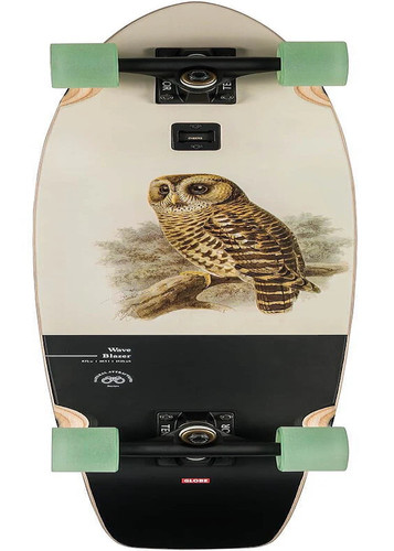 Globe wave blazer - wave, 31"