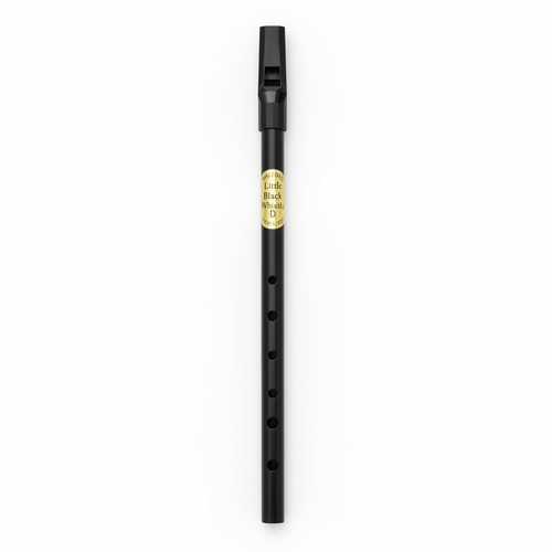 Irish tin whistle key d - key,