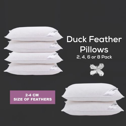 Hotel quality duck feather - quality,
