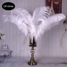 Sale Quality Ostrich Feathers