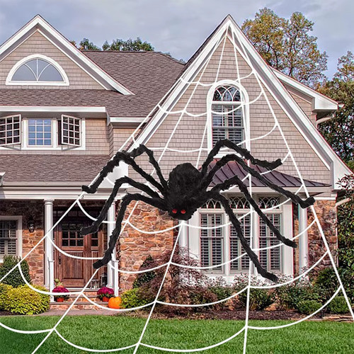 Large black spider - large,