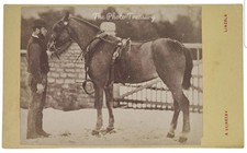 CDV MAN WITH TACKED HORSE IN