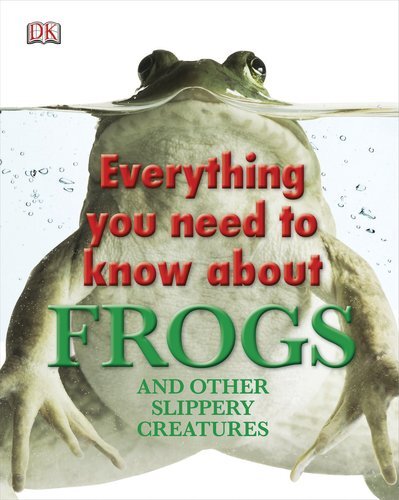 Everything you need know - everything,