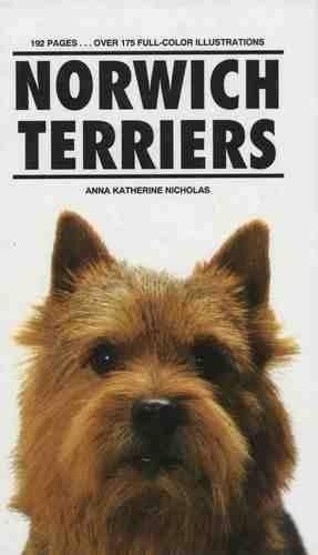 Norwich terriers nicholas - terriers, by