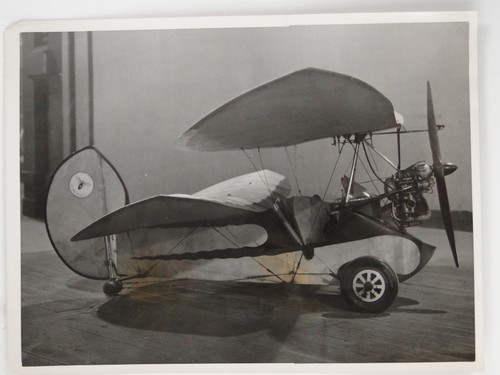 Pou ciel flying flea mignet - ciel,