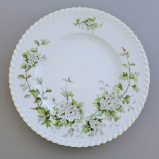 Vintage Franconia Hawthorn